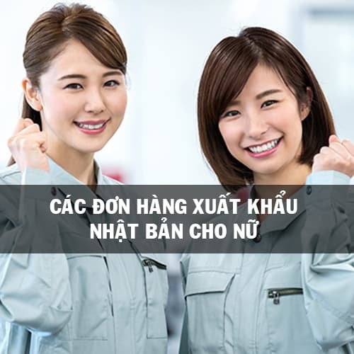 Các đơn hàng xuất khẩu Nhật Bản cho nữ cơ hội trong tầm tay